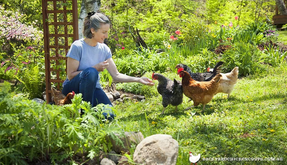 Koło Gospodyń Wiejskich